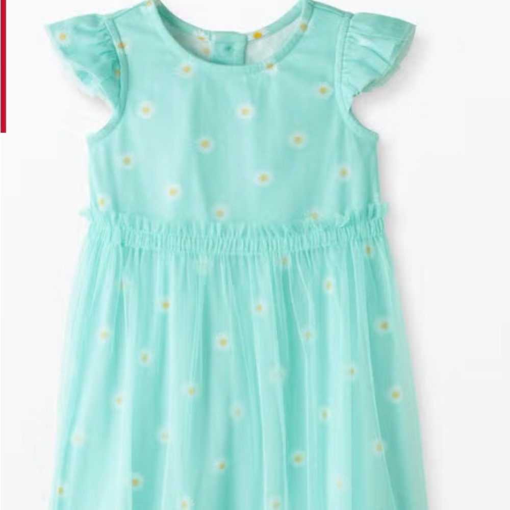 Hanna Andersson Daisy Tulle Girls Dress